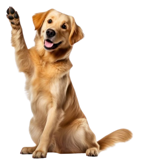 d7edd5ab8bd3eca6d97ae70a3207e21a-removebg-preview